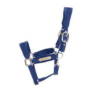 Kentucky Horsewear Halfter Velvet, Nylonhalfter, Samthalfter Kentucky Horsewear Halfter Velvet, Nylonhalfter, Samthalfter