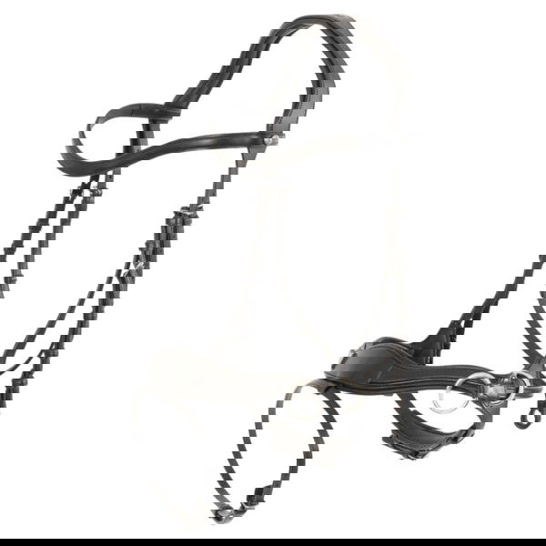 Trust Trense Falsterbo T-Motion, englisch kombiniert, 5-in1, Sidepull, Crosspull, ohne Zügel