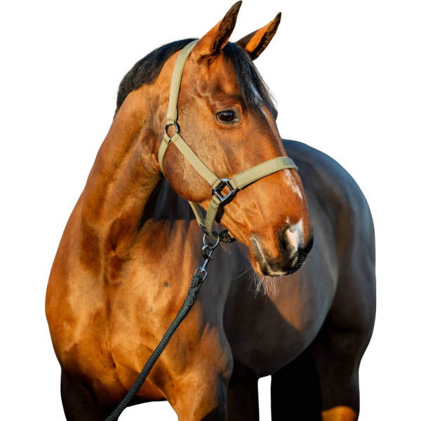 Horseware Halfter-Set Amigo, inkl. Strick