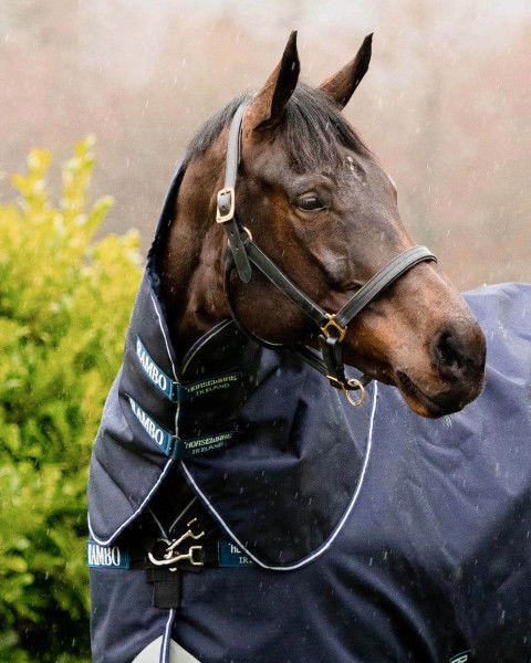 Horseware Halsteil Rambo Duo Ripstop, 0 g