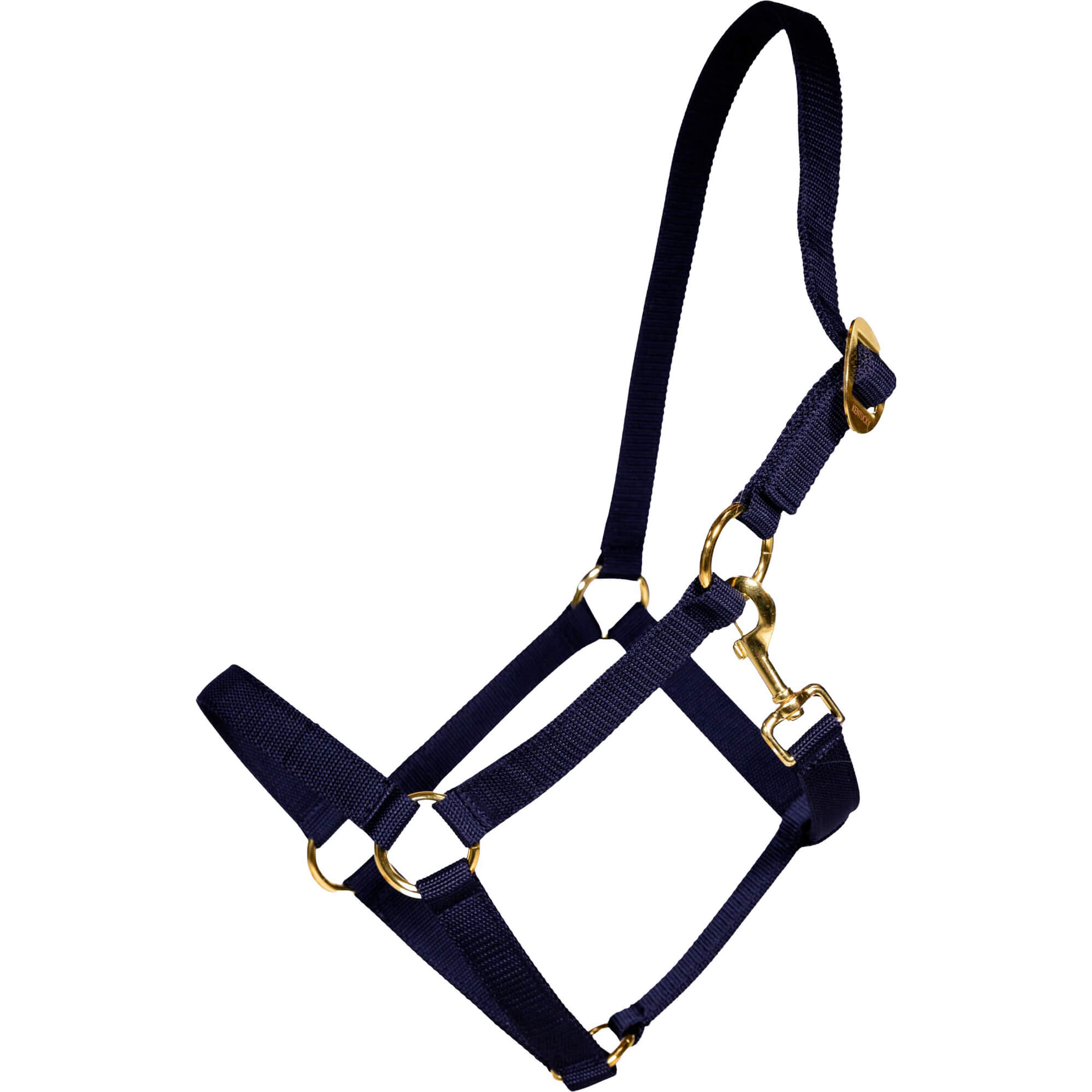 Kentucky Horsewear Halfter, Nylonhalfter