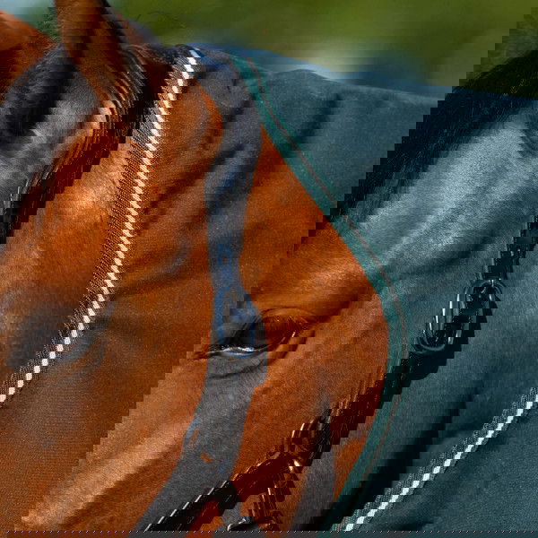 Imperial Riding Outdoordecke IRHBasic, 0 g, Regendecke, mit abnehmbarem Halsteil, mit Fleece