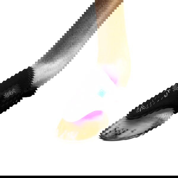 Equine LTS Therapiepad LED Versatile 2.0