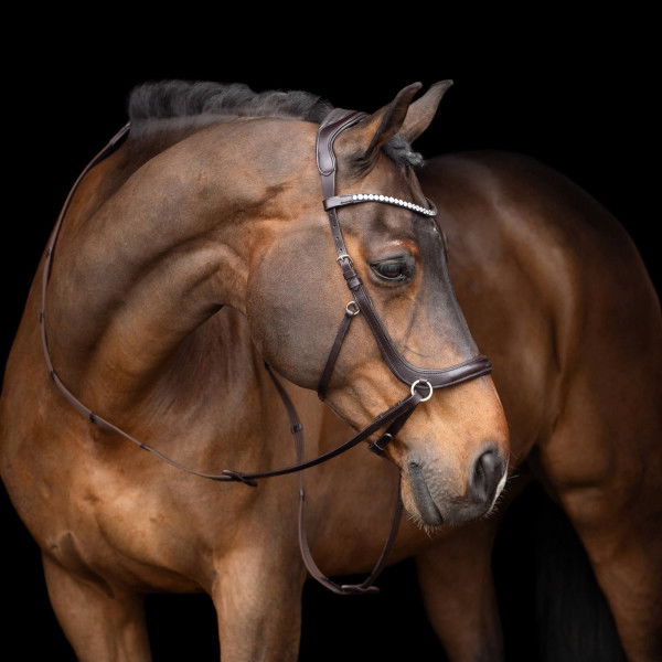 HV Polo Bridle HVPLegacy FW24, Bitless, with Reins