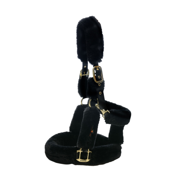Kentucky-Horsewear_Transporthalfter_schwarz_1_3