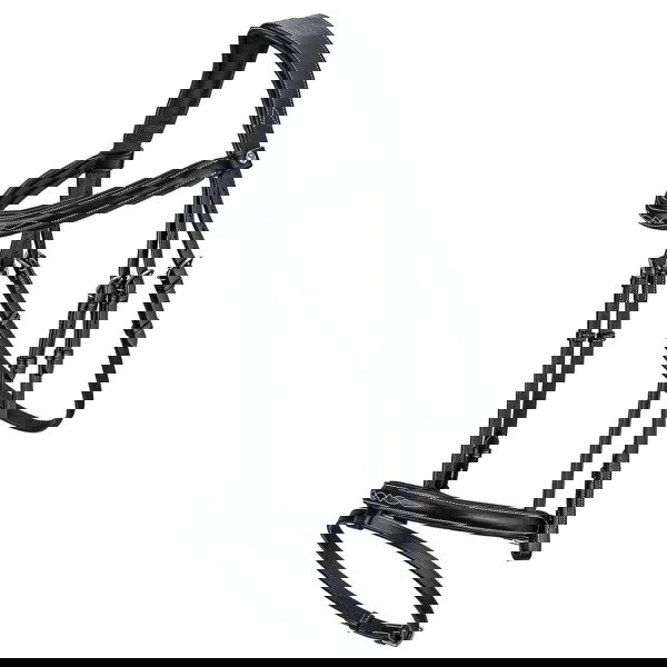 Sunride Bridle London, English Combined, with Reins