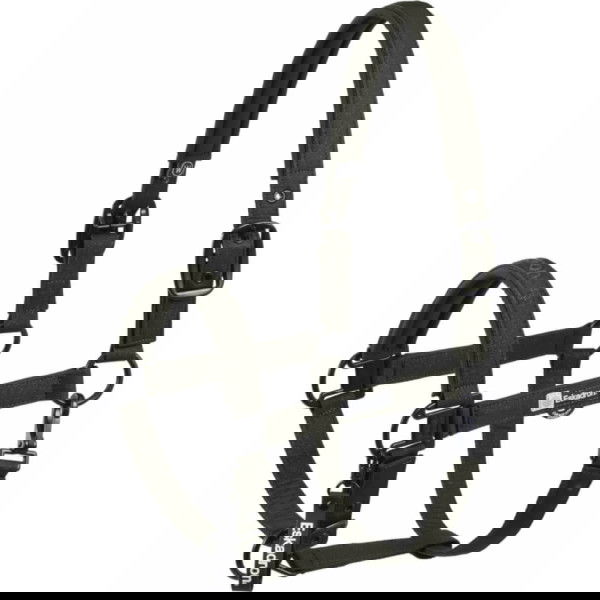 Eskadron Halfter Sparkle Double Pin Dynamic HW25