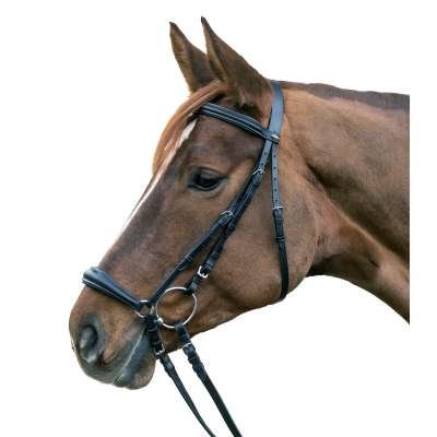 Star Bridle Hannover, Hanoverian, with Reins