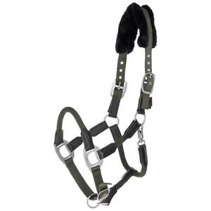 Covalliero Halfter Cordano, Nylonhalfter Covalliero Halfter Cordano, Nylonhalfter