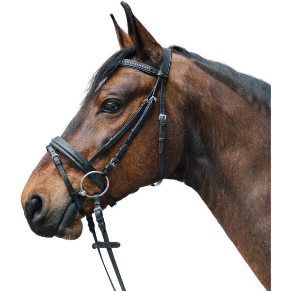 Waldhausen Bridle Star Diamond, English Combined, with Reins