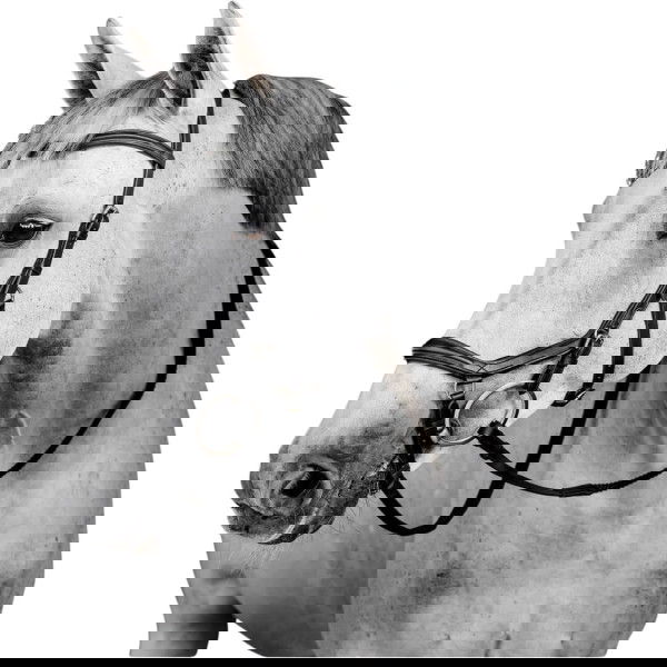 Horseware Bridle Micklem 3 Deluxe Competition Bridle, without Reins