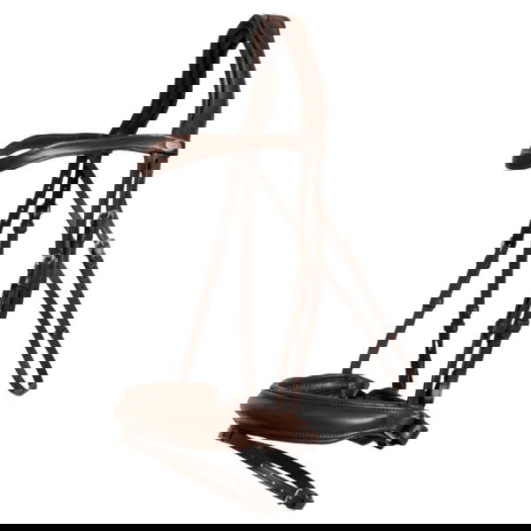 Dyon Bridle Medium Soft Leather Collection, Swedish Noseband, without Reins