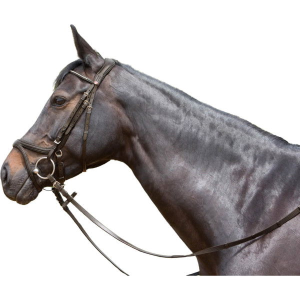 Kieffer Bridle Ultrasoft Tara, Swedish Combined, with Reins