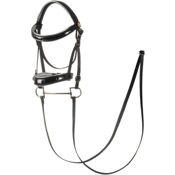 Equestro Hobby Horse Trense Shiny, Leder