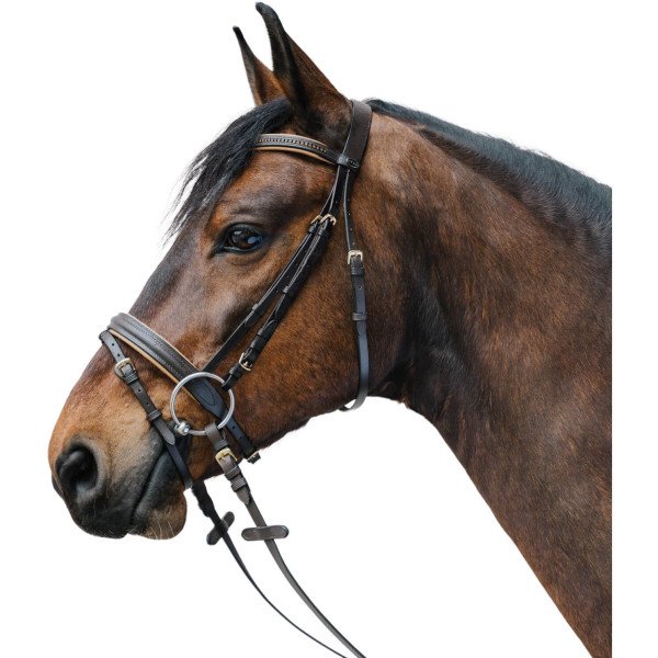 Waldhausen Bridle Star Diamond, English Combined, with Reins