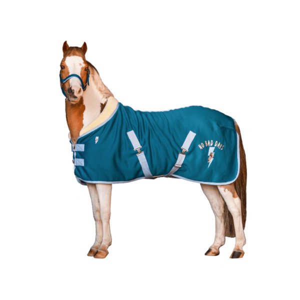 QHP Fleece Blanket Thunderbolt for Ponies with Synthetic Fur Collar