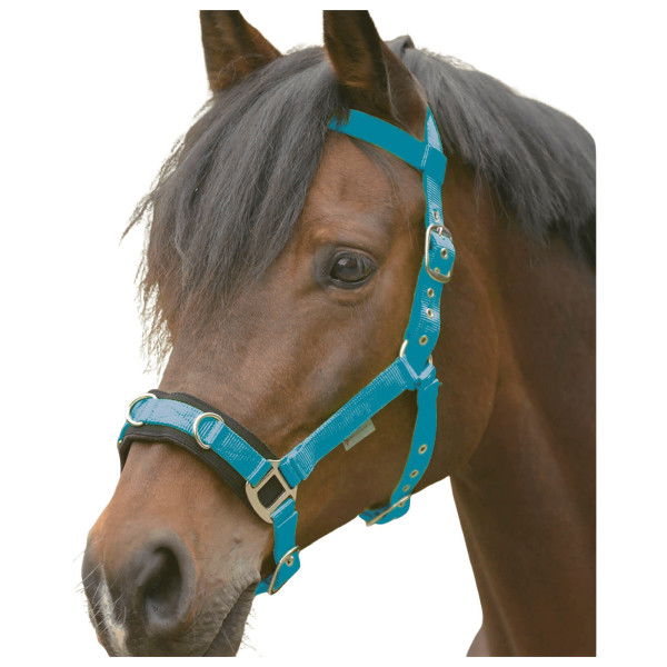 Waldhausen Lunging Halter Economic, Cavesson, Nylon Halter