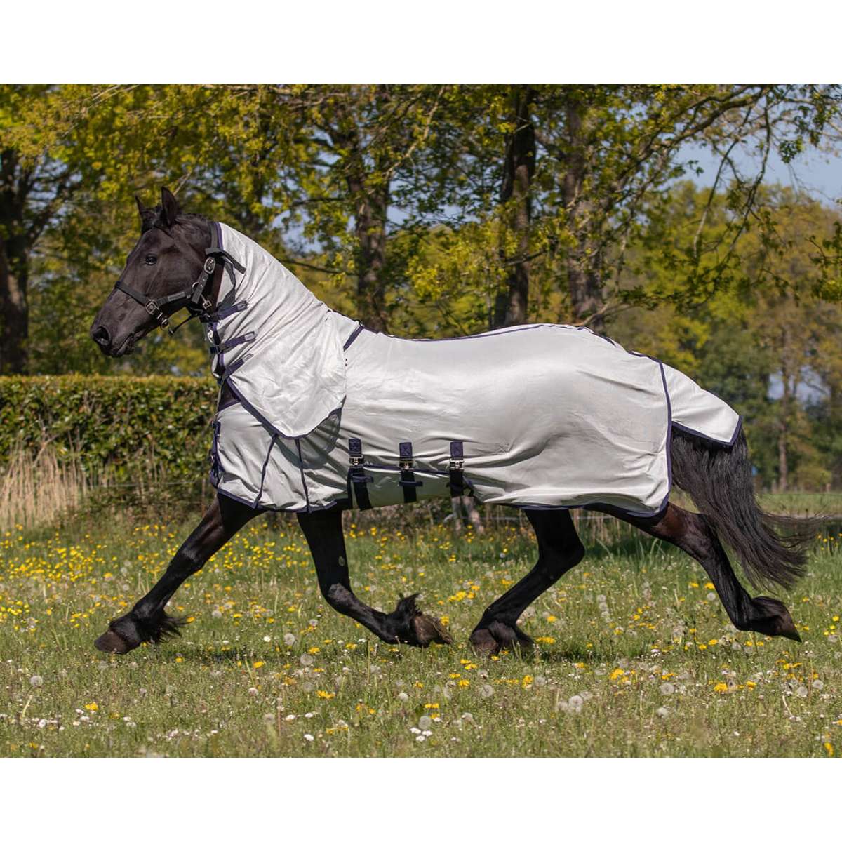 Fliegendecke Für Pferd Mit Abnehmbarer Maske – Grau, Polyester, Mit Bauchlatz & Beinschutz