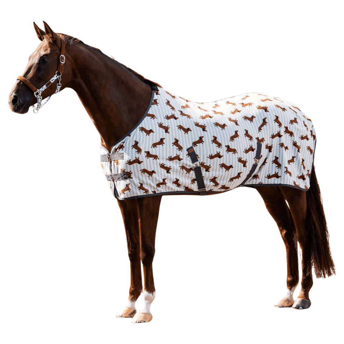 QHP Fleecedecke Stable Buddy, Abschwitzdecke