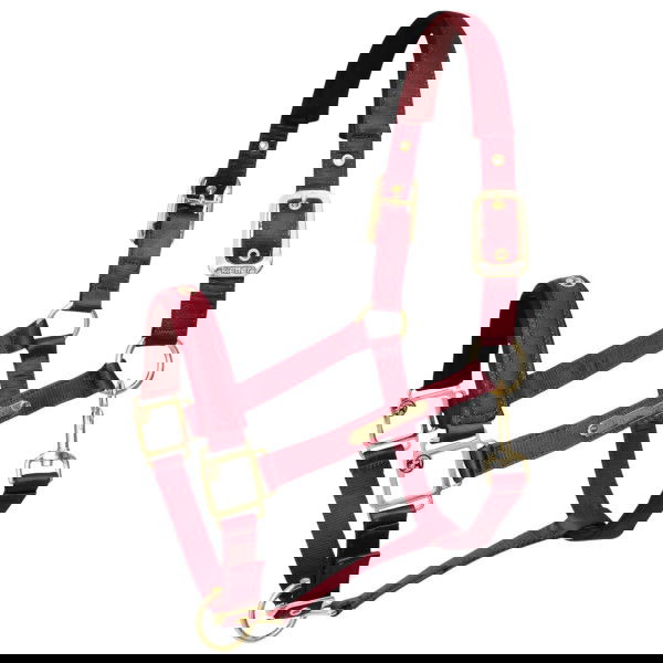 Kieffer Halfter Satin Shine, Nylonhalfter, mit Satin-Finish