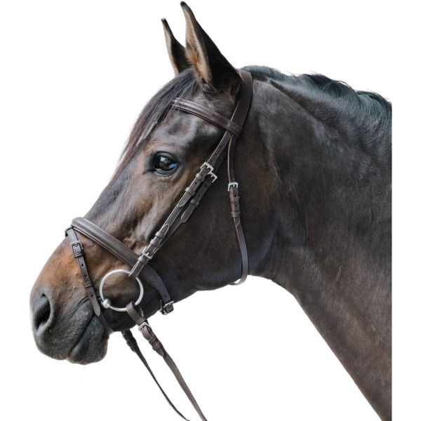 Star Bridle Lifestyle, English Combined, with Reins