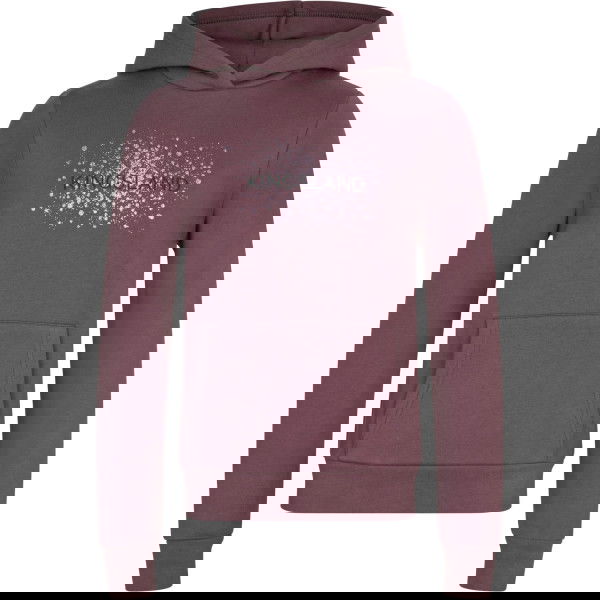 Kingsland Girls Pullover KLmadeline FW25, Hoodie