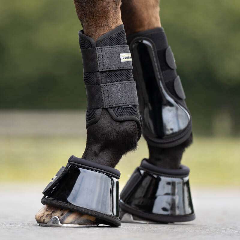 Busse Hufglocken 4Horses Hufglocken Berlin Weiß M  Produktbild-Vorschau 8