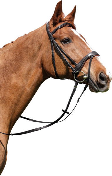 Kieffer Bridle Perseus, Swedish Combined, with Reins