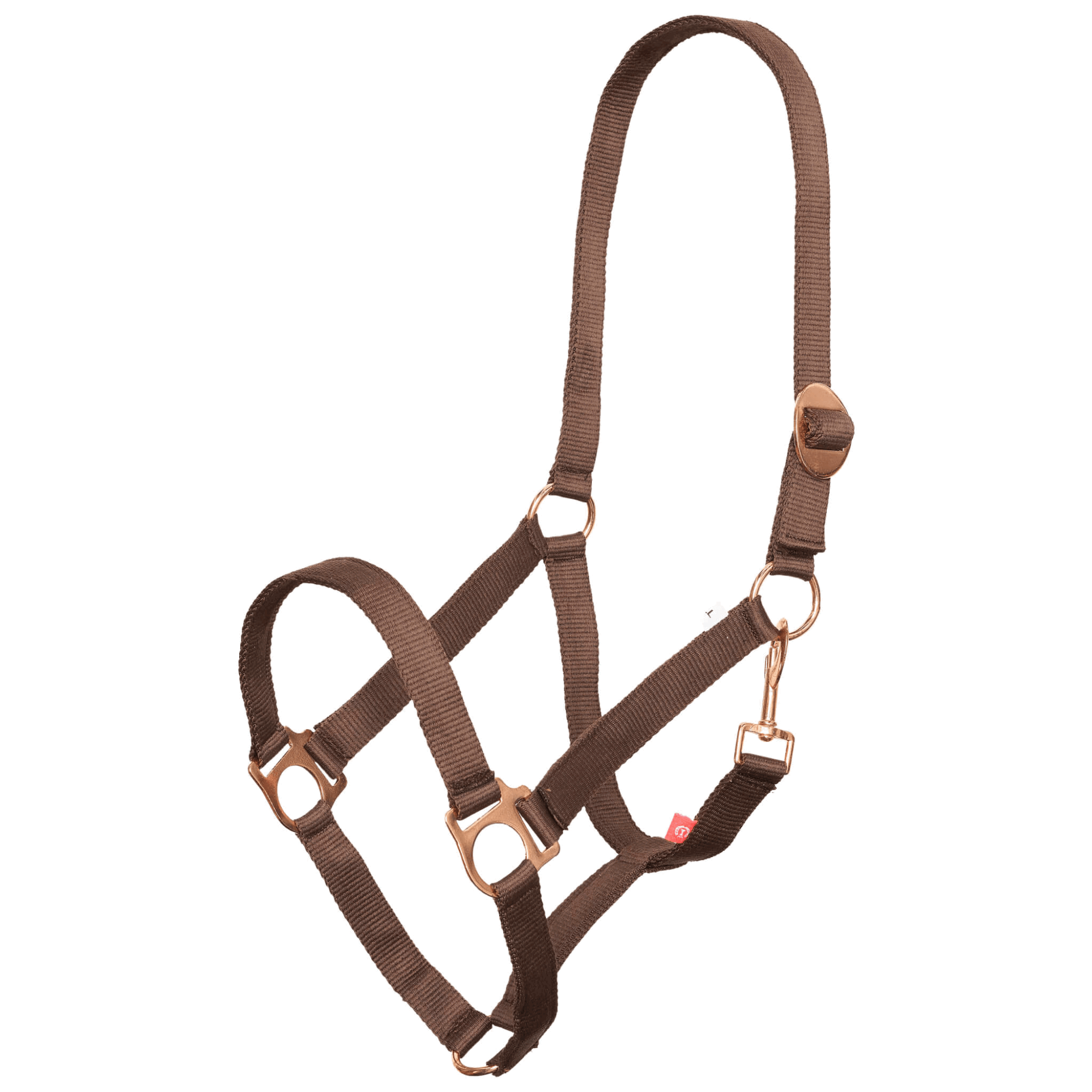 Imperial Riding Halfter IRHEconomic, Nylonhalfter