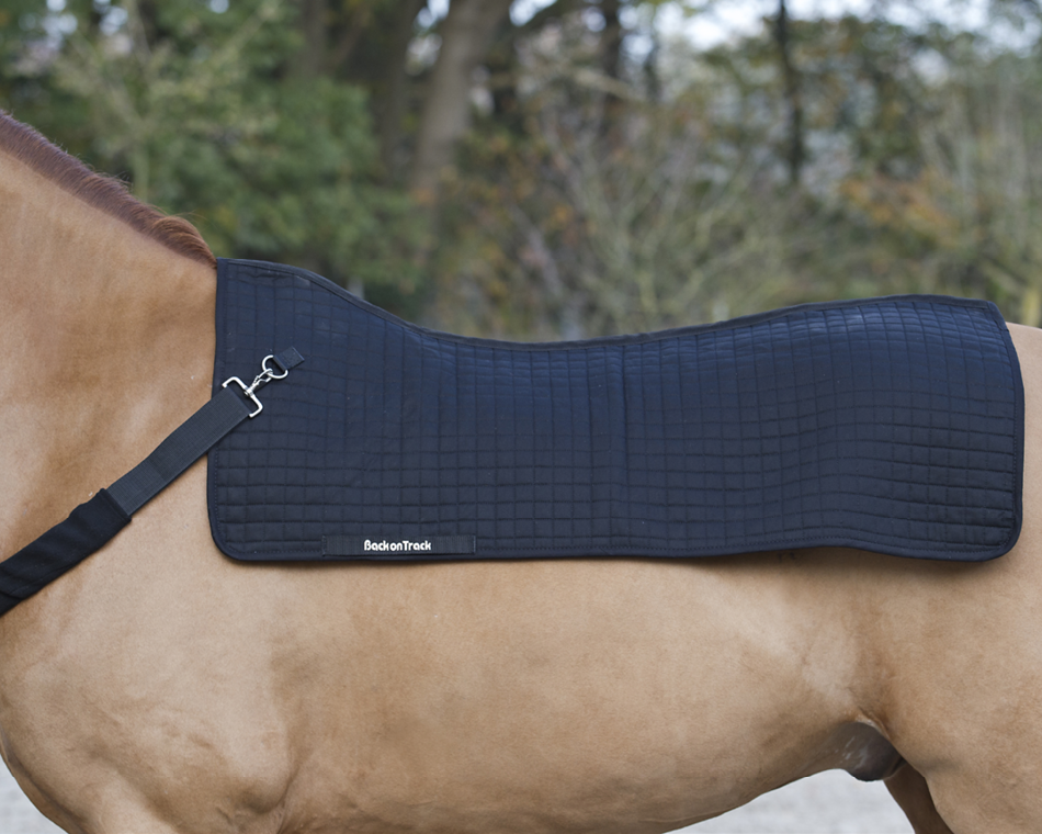Tappetino da dressage Back on Track numéro II | La sellerie de Maé