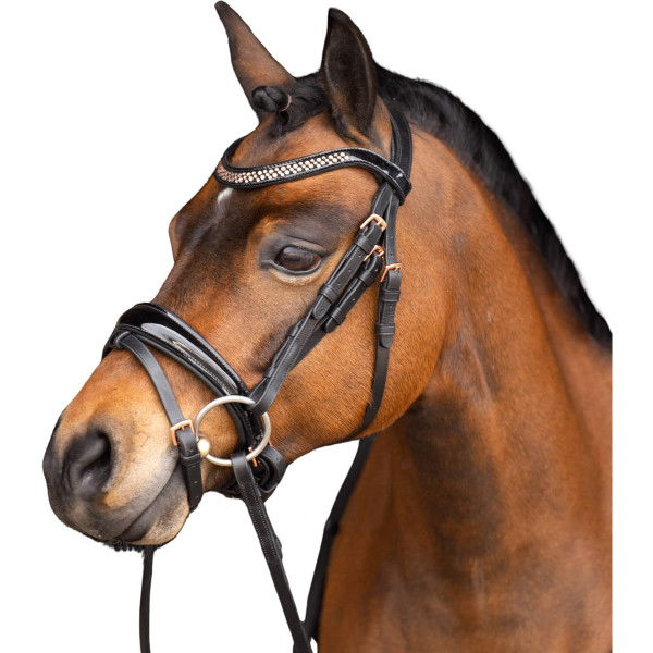 Imperial Riding Bridle IRHPetit FW24, Pony Bridle, Swedish Combined, with Reins