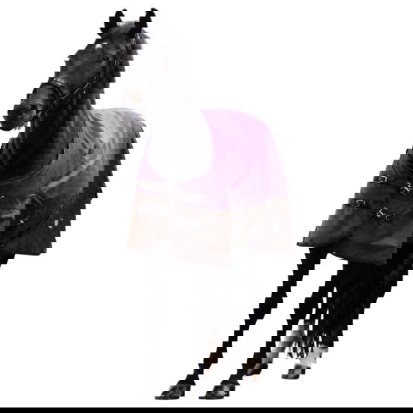 Imperial Riding Outdoordecke IRHCustomized HW25, 200 g, Winterdecke