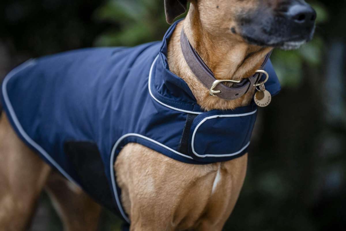 Horseware Dog Rug Signature SS26 100 g | FUNDIS Equestrian