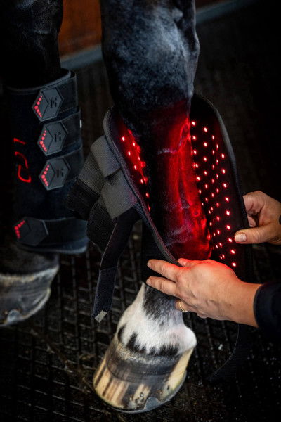 Horseware Therapy Boots Left LED Red Light Therapy FW25