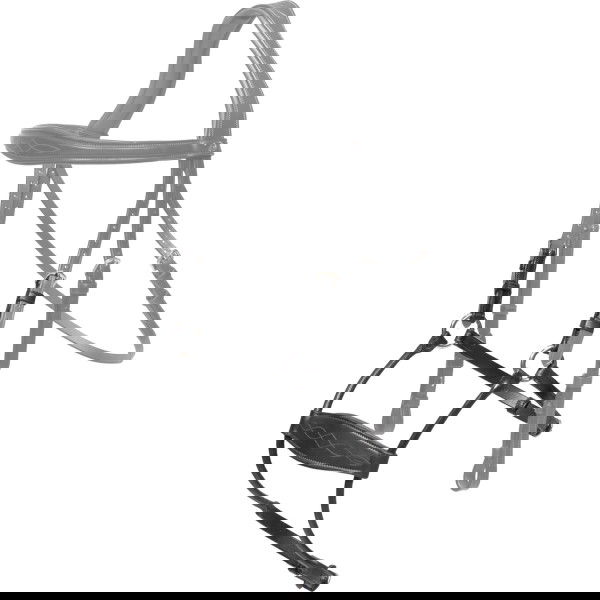 Dyon Noseband Hybrid, D-Collection
