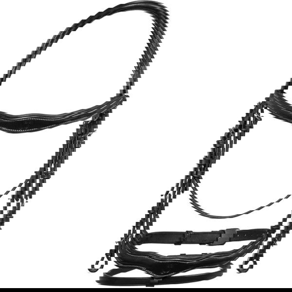 Equestro Bridle Anatomical, English Combined, without Reins