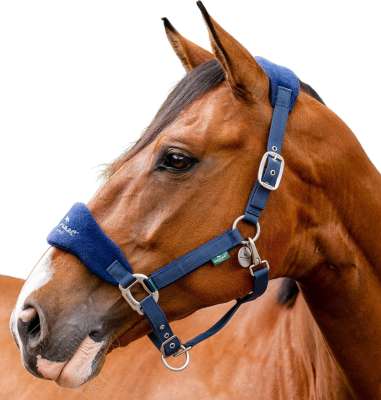 Horseware Halfter Signature Grooming, Nylonhalfter