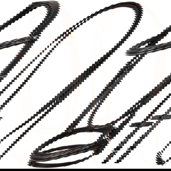 Equestro Bridle Raised and Padded, English Combined, with Reins