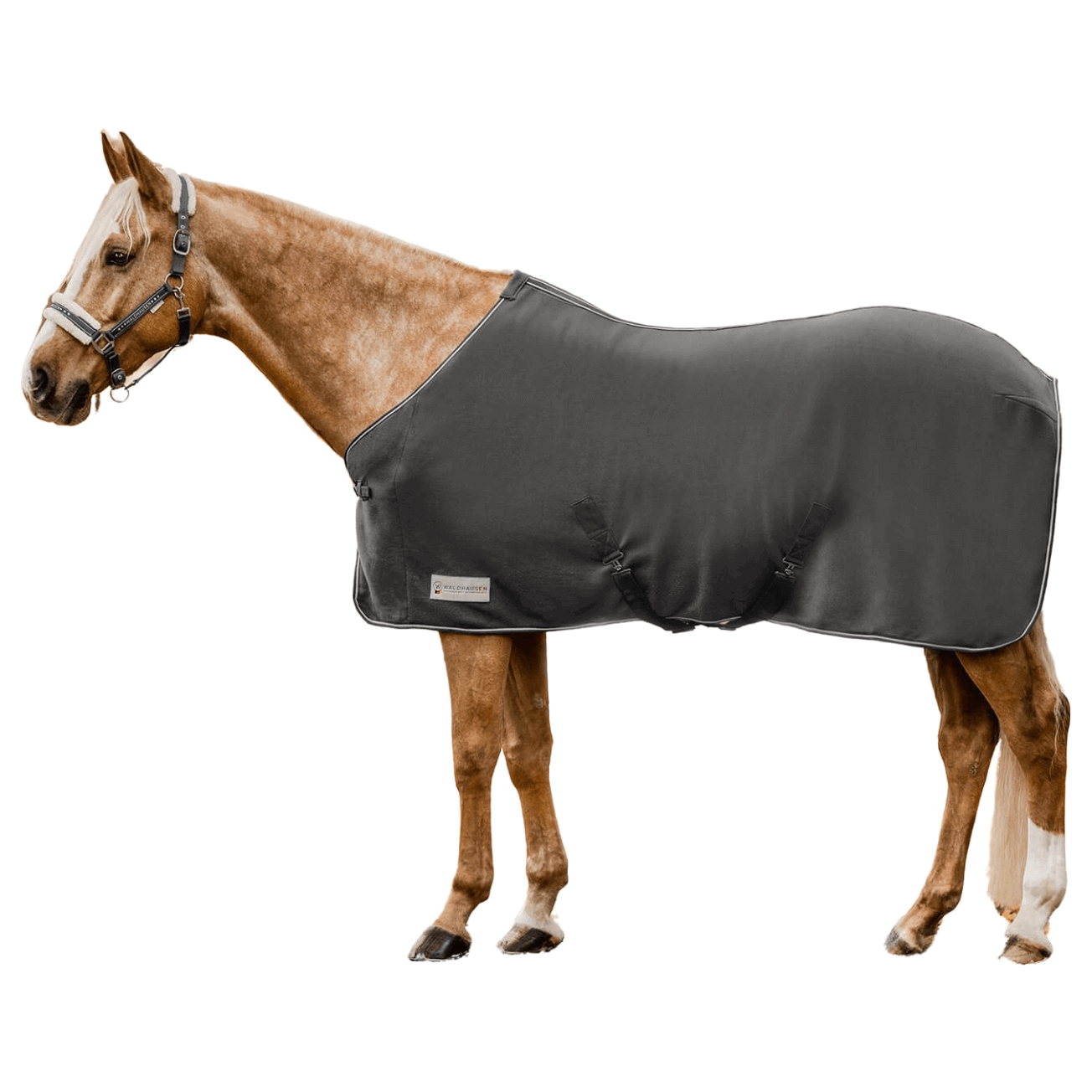Waldhausen Fleecedecke Economic mit Kreuzgurten, Abschwitzdecke