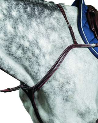 Poitrail Prestige D35 Anatomique 2 Points Avec Pont, Taille Cheval, Occasion