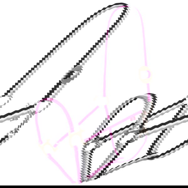 Imperial Riding Halfter IRHEconomic, Nylonhalfter