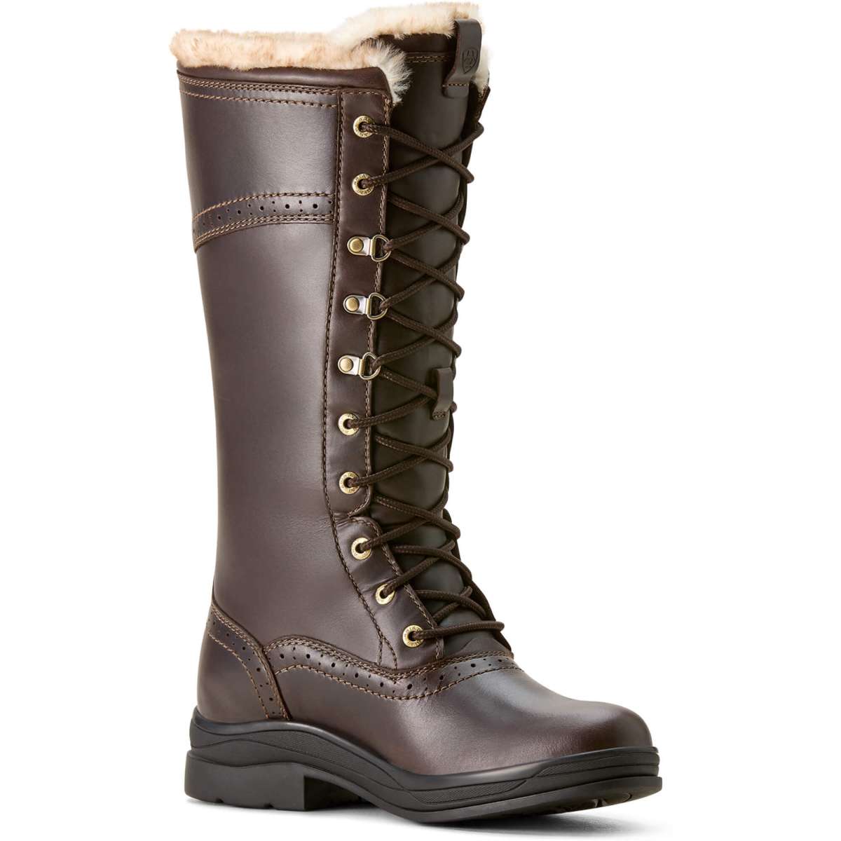 Ariat coniston pro gtx insulated online