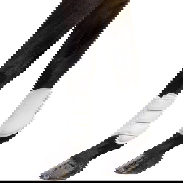 USG Gamaschen, Dressurgamaschen