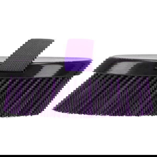 QHP Grooming Brush Lize FW25, Horse Brush