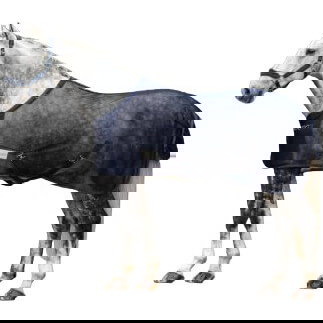 Waldhausen Fliegendecke Comfort mit Kreuzbegurtung