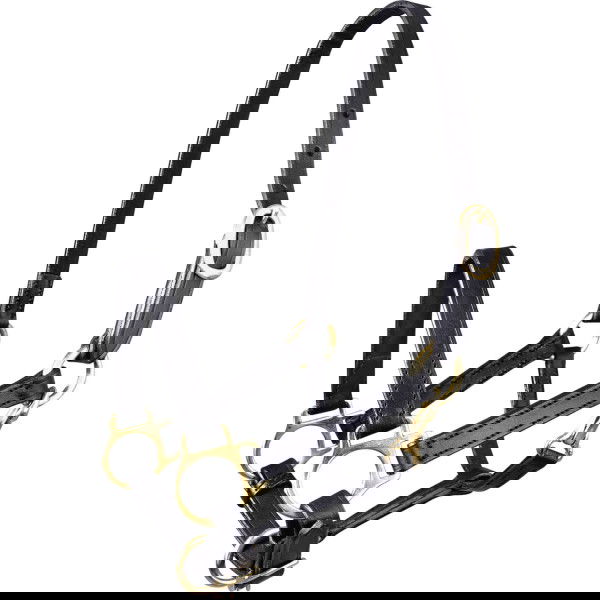 Star Fohlenhalfter, Lederhalfter, Messing