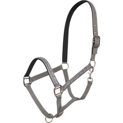HV Polo Halfter HVPNena FS25, Nylonhalfter