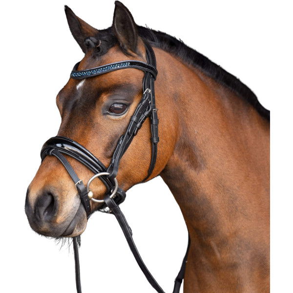 Imperial Riding Bridle IRHPetit FW24, Pony Bridle, Swedish Combined, with Reins