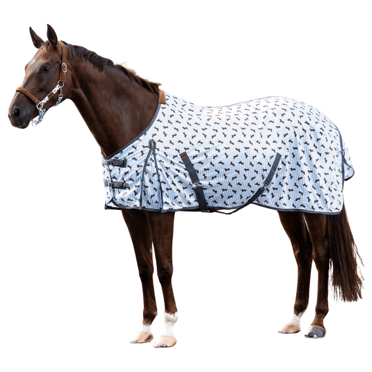 QHP Fliegendecke Stable Buddy