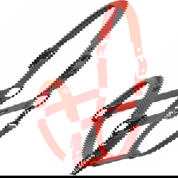 Eskadron Halfter Double Pin Dynamic HW25